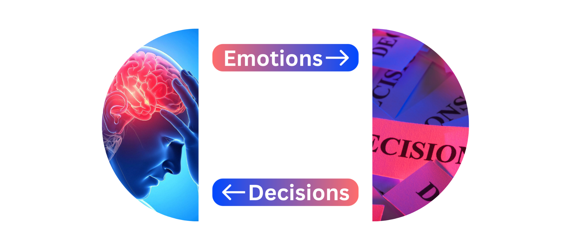 Emotions Decisions No Frame